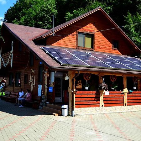 Pensiunea Sequoia Клуж-Напока Екстериор снимка