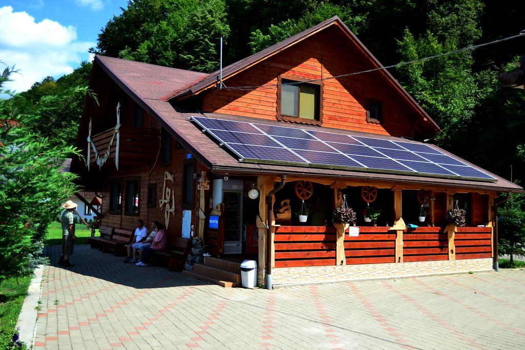 Pensiunea Sequoia Клуж-Напока Екстериор снимка