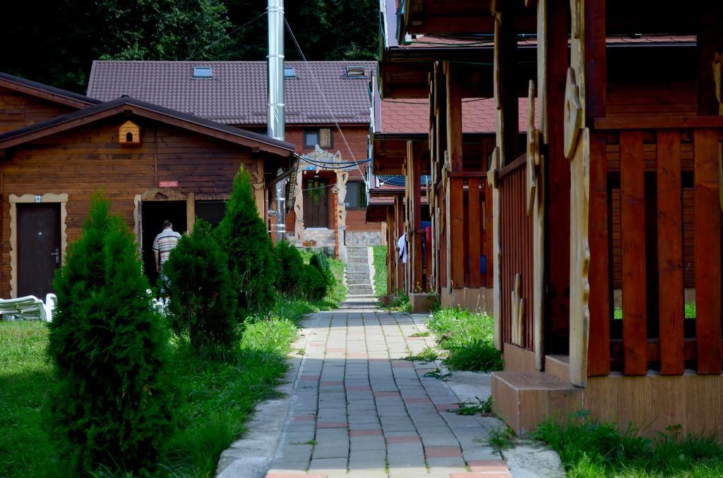 Pensiunea Sequoia Клуж-Напока Екстериор снимка